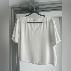 Aritzia Babaton Silk shirt sleeve top